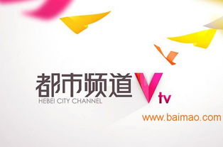 海王廣告 專業鑄就卓越，精準賦能河北電視臺廣告優勢發布